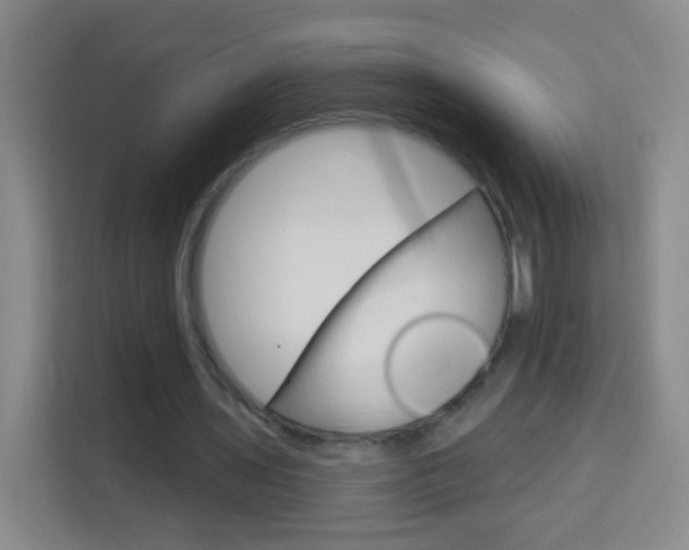 X0000114120435200910051302