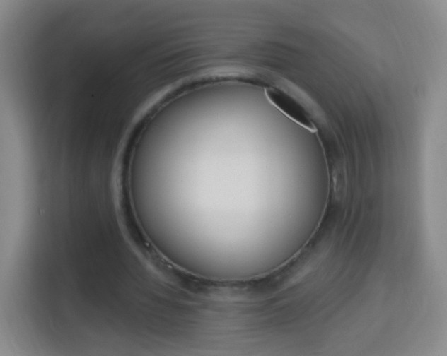 X0000114120436200910051302