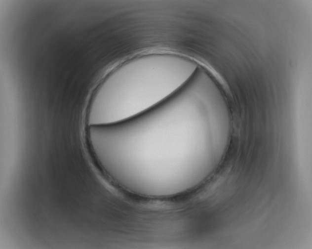 X0000114120437200910051302