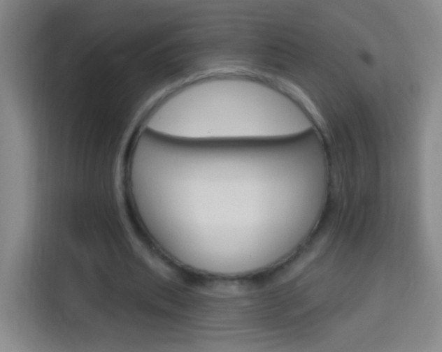 X0000114120439200910051302