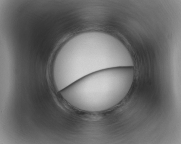 X0000114120443200910051302