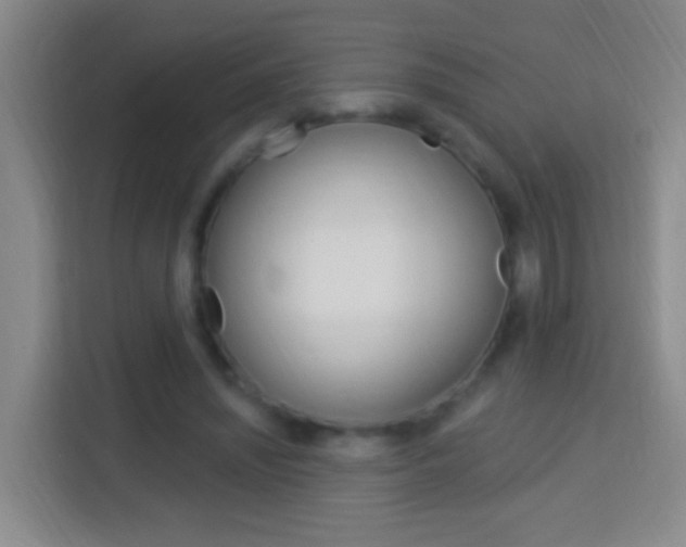 X0000114120444200910051302
