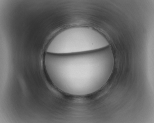 X0000114120446200910051302