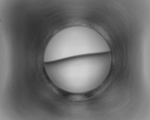 X0000114120449200910051302