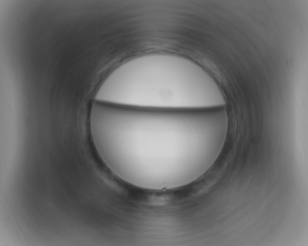 X0000114120450200910051302