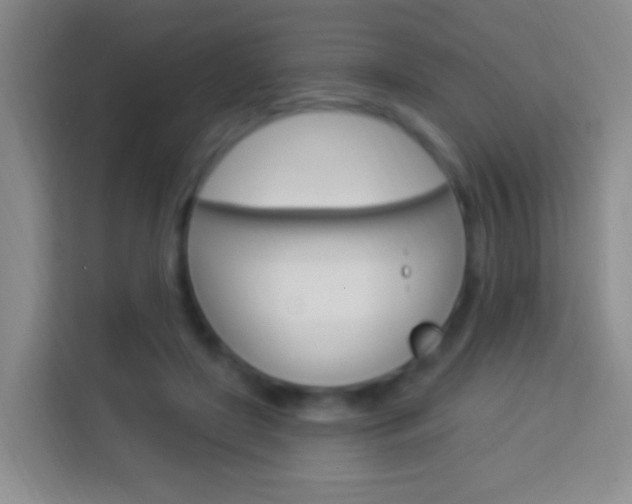 X0000114120451200910051302