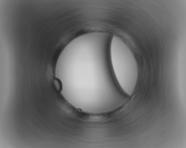 X0000114120457200910051303