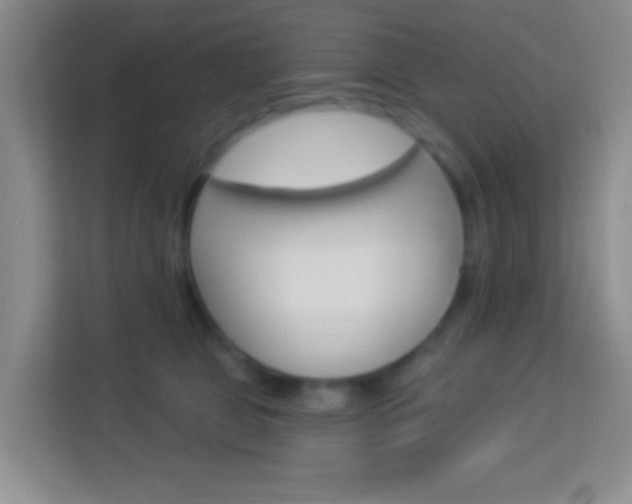 X0000114120469200910051303