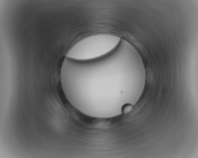 X0000114120471200910051303