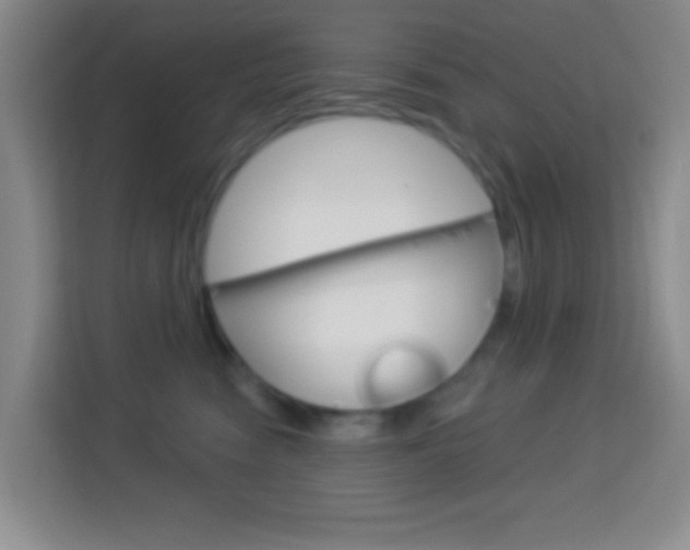 X0000114120474200910051303