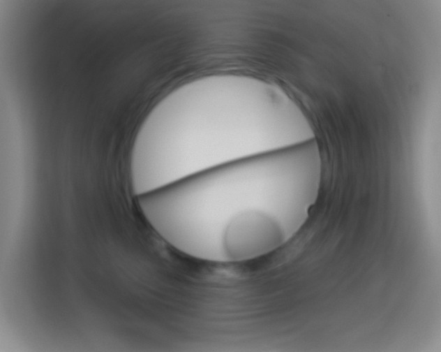 X0000114120475200910051303