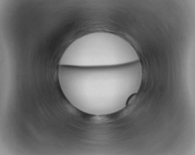 X0000114120477200910051303