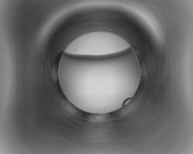 X0000114120479200910051303