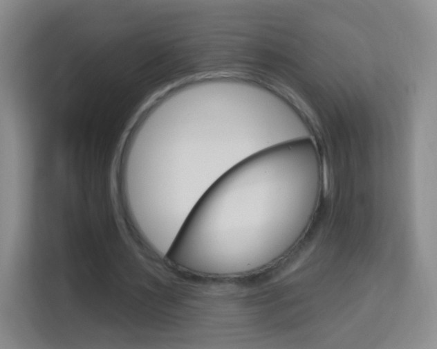 X0000114120483200910051302