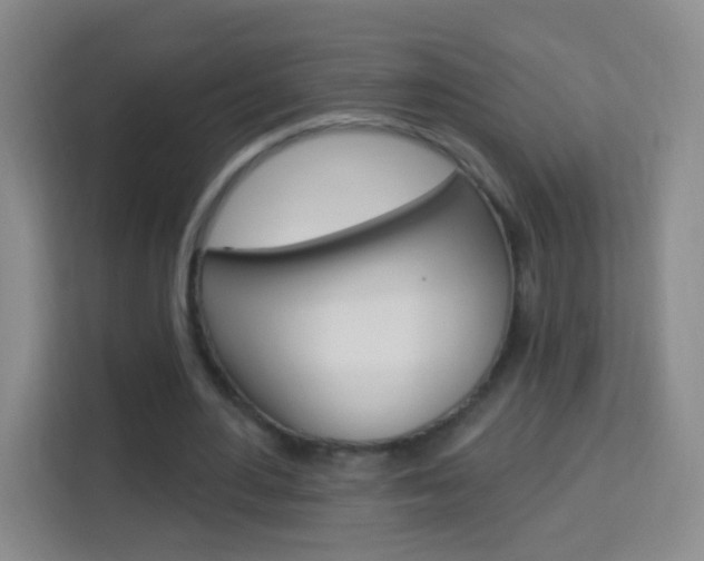 X0000114120484200910051302