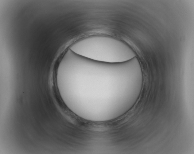X0000114120486200910051302
