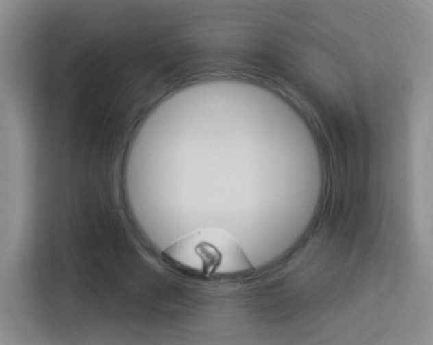 X0000114120489200910051302