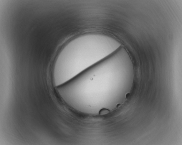X0000114120491200910051302