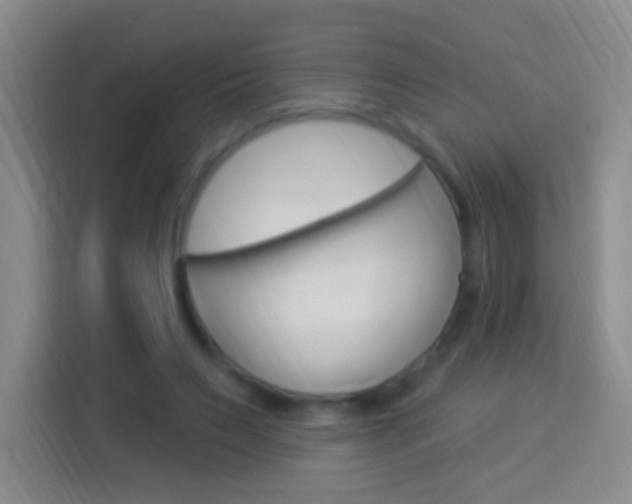 X0000114120495200910051302