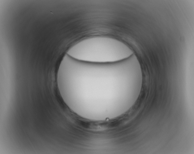 X0000114120498200910051302
