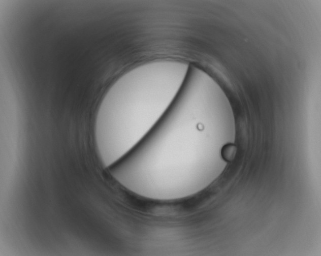 X0000114120499200910051302