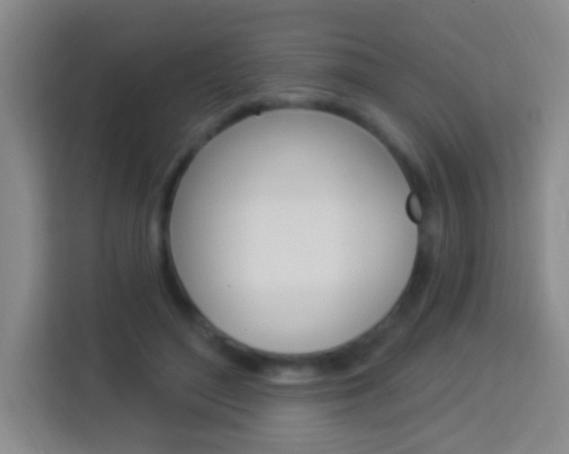 X0000114120500200910051302