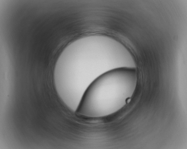 X0000114120501200910051302