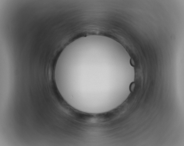 X0000114120504200910051302