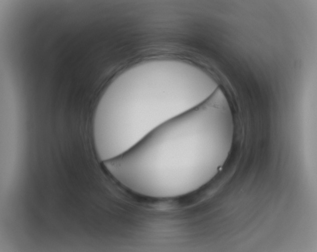 X0000114120505200910051302