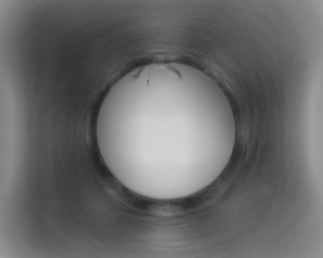 X0000114120512200910051302