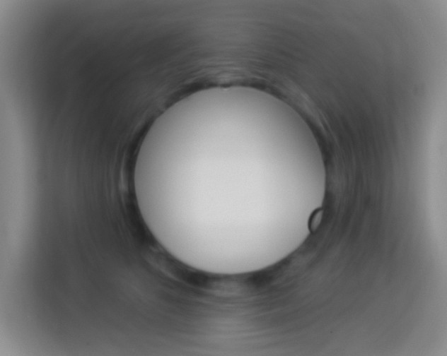 X0000114120516200910051302