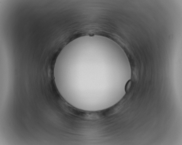 X0000114120520200910051302