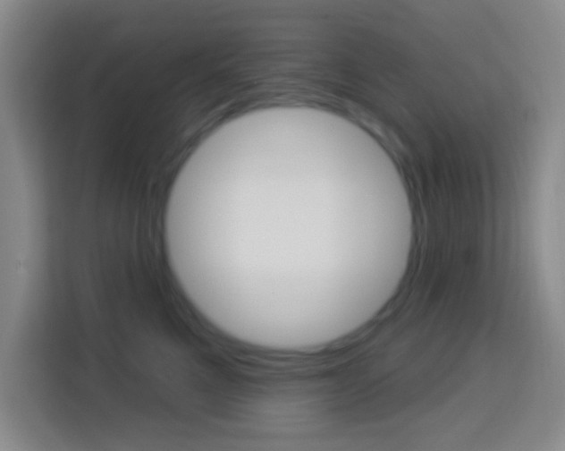 X0000114120521200910051302