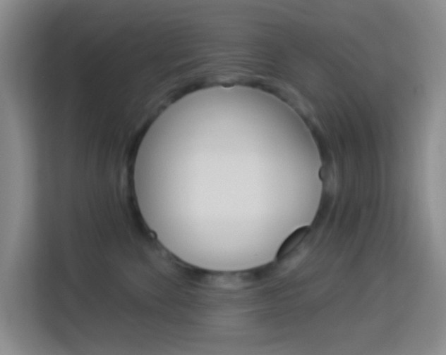 X0000114120524200910051302