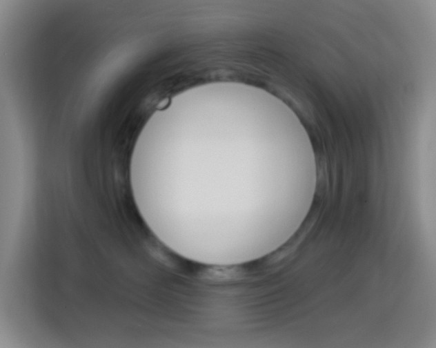 X0000114120526200910051302
