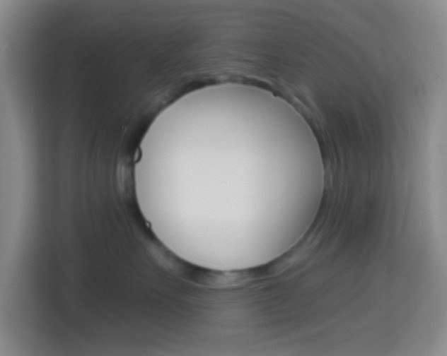 X0000114120527200910051302