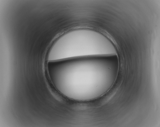X0000114120530200910051301
