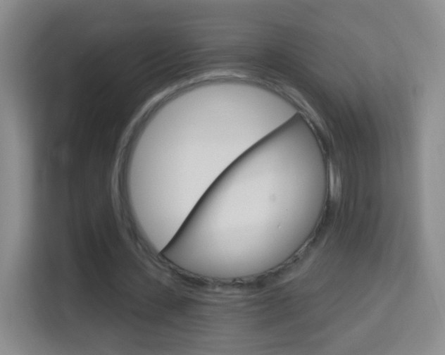 X0000114120531200910051301