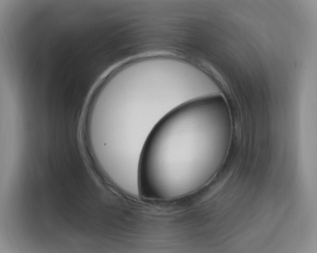 X0000114120532200910051301