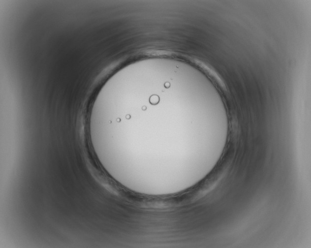 X0000114120533200910051301