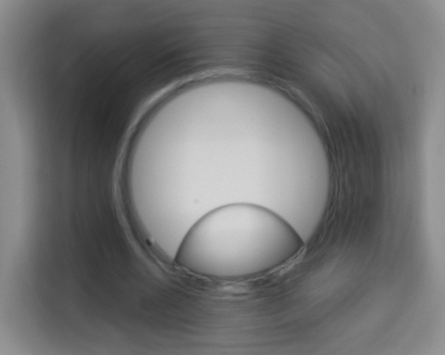 X0000114120536200910051301