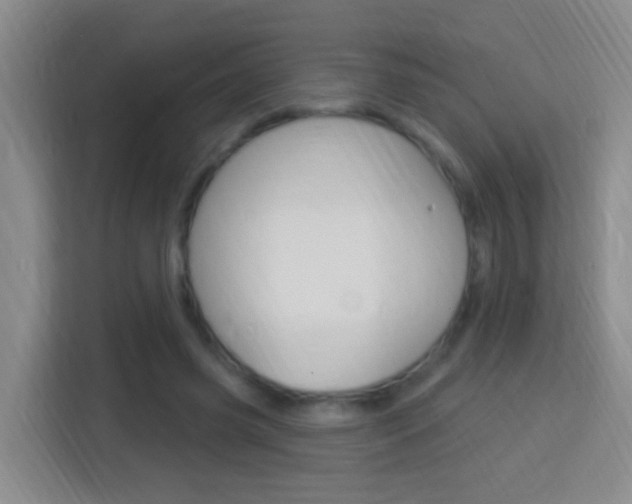 X0000114120541200910051301