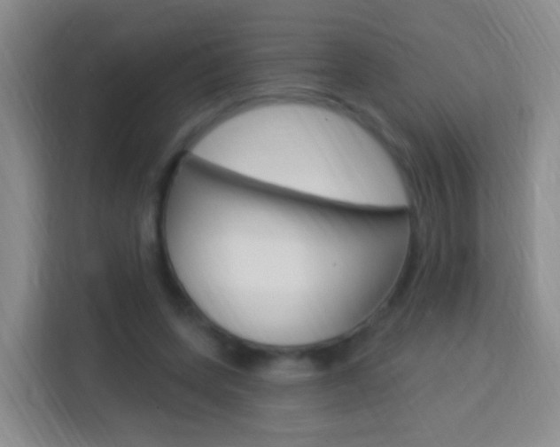 X0000114120543200910051301