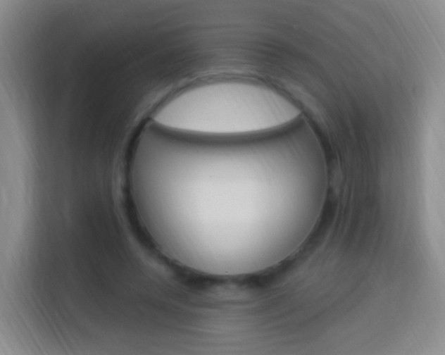 X0000114120544200910051301