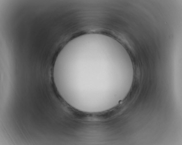 X0000114120545200910051301