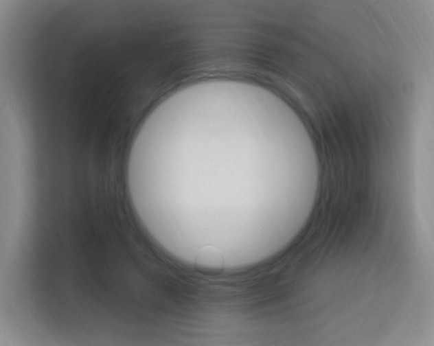 X0000114120546200910051301