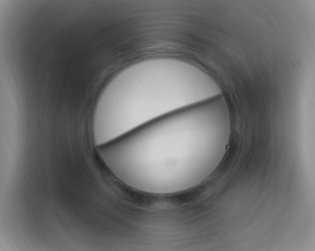 X0000114120547200910051301