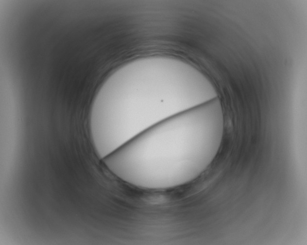 X0000114120551200910051301