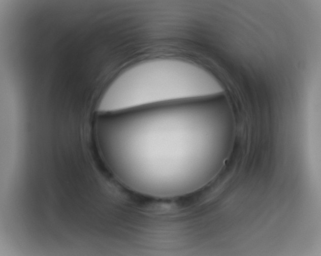 X0000114120552200910051301