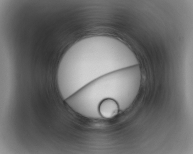X0000114120555200910051301